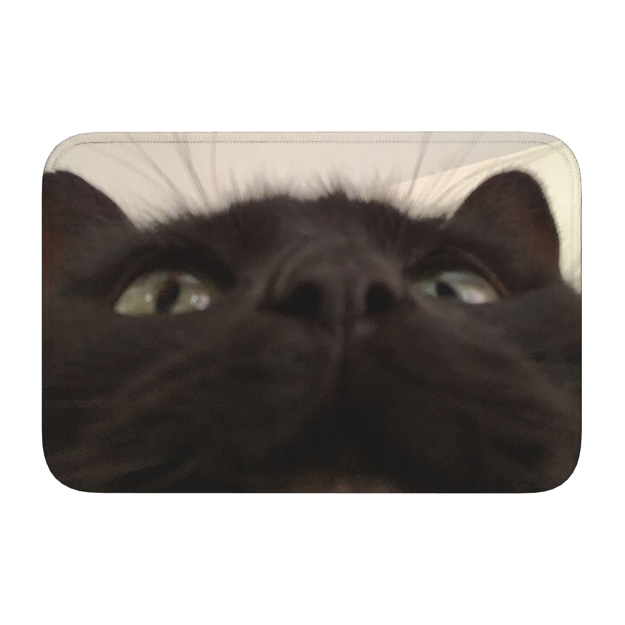 Cat Looking Directly At You at - Home Textiles Direct recensione e prezzo